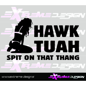 Nalepka Hawk Tuah 2